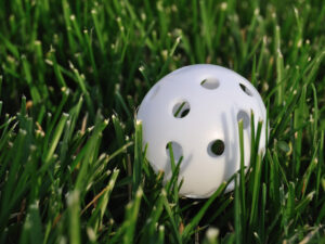 Wiffle ball in the grass